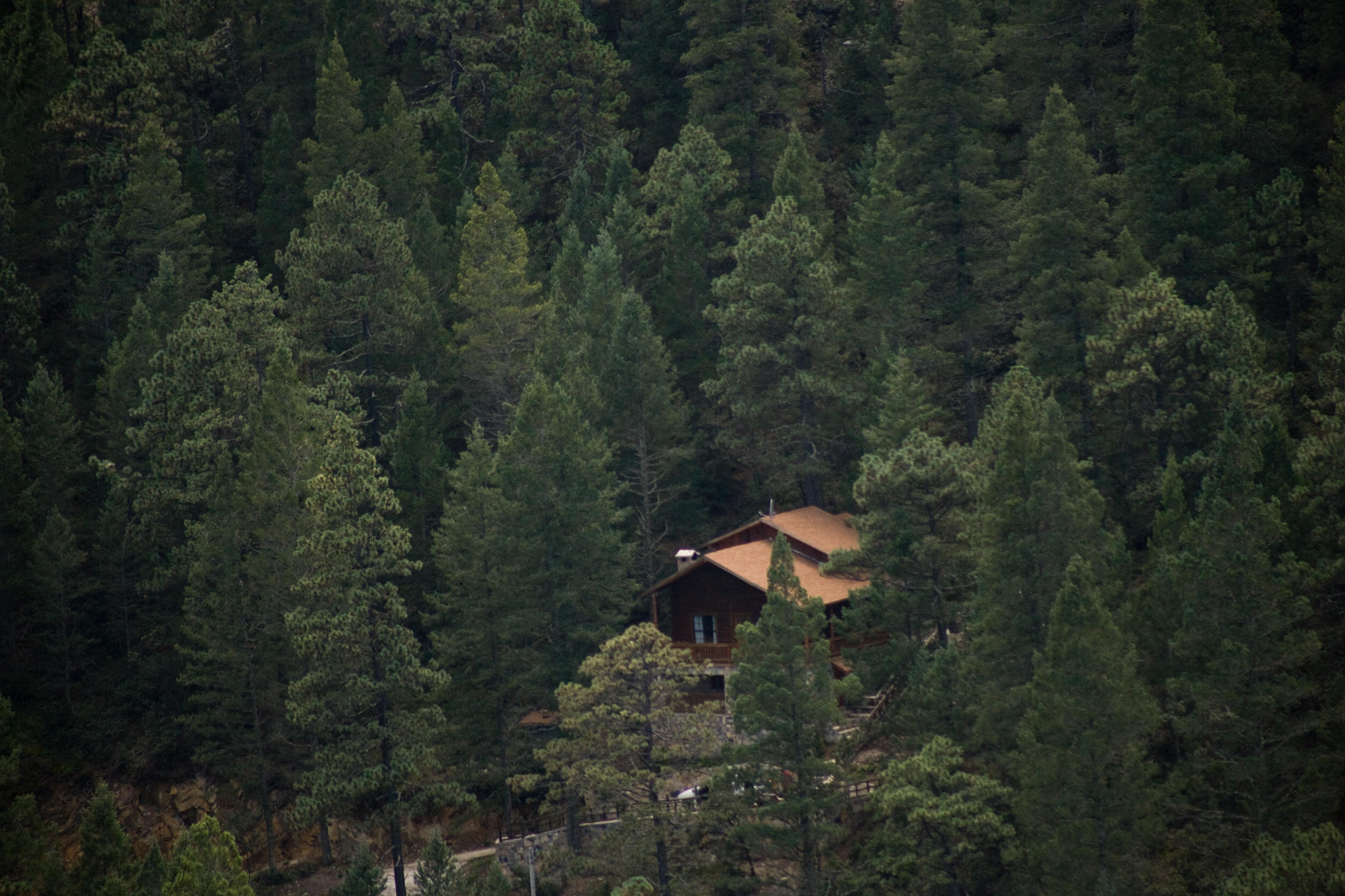 Bosques De Monterreal Hotel San Antonio de las Alazanas Kültér fotó