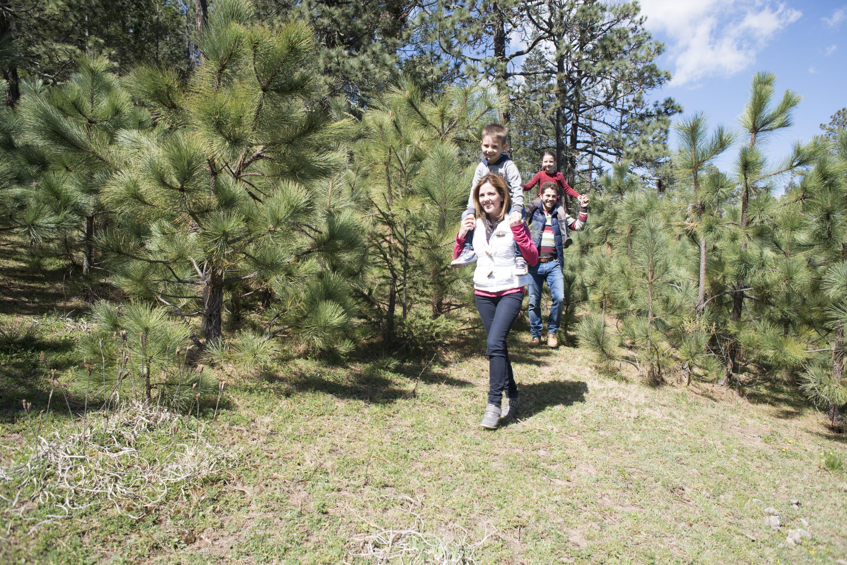 Bosques De Monterreal Hotel San Antonio de las Alazanas Kültér fotó