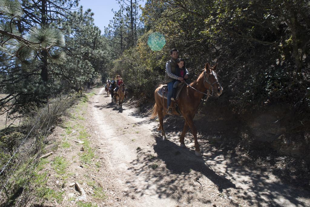 Bosques De Monterreal Hotel San Antonio de las Alazanas Kültér fotó